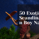 Exotic Scandinavian Boy Names