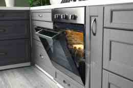 Different Types of Ovens