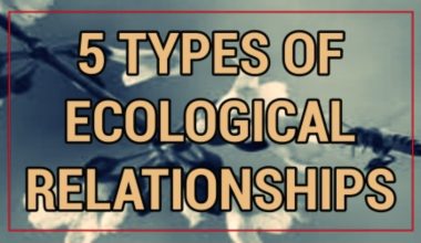 Types of Ecological Relationships