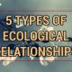 Types of Ecological Relationships