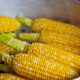 Different Types Of Corn