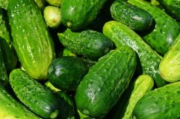 Types Of Cucumber