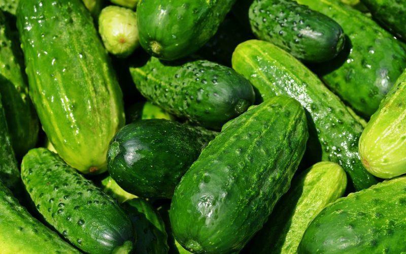 Types Of Cucumber