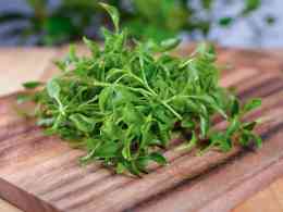 Substitutes for Watercress