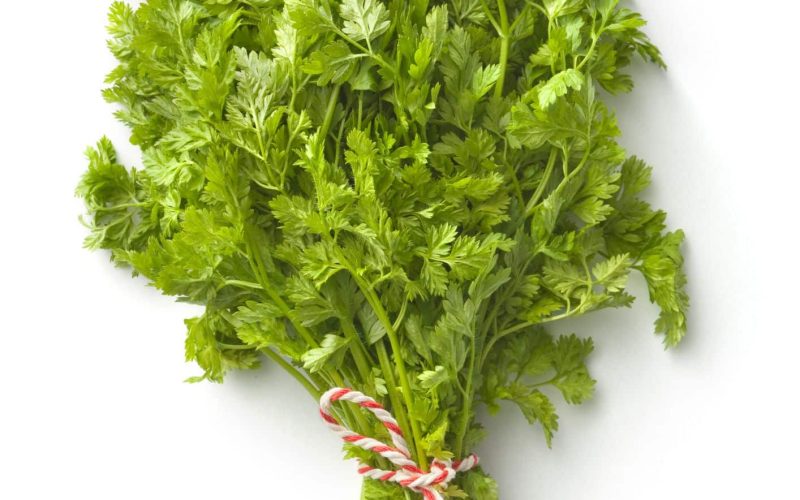 Substitutes For Chervil