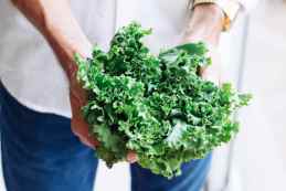 Different Types of Kale